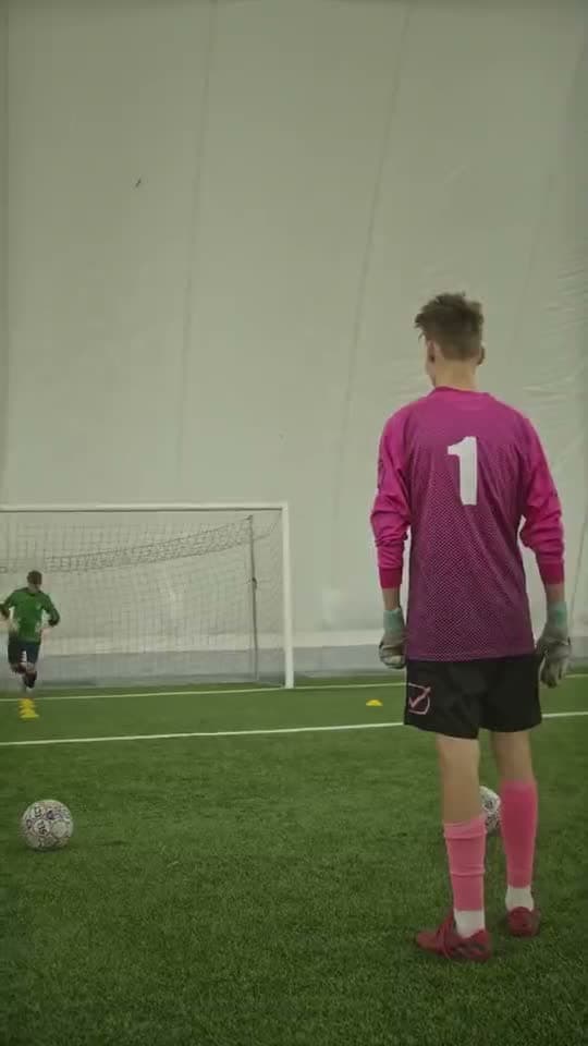 Football pitch preview
